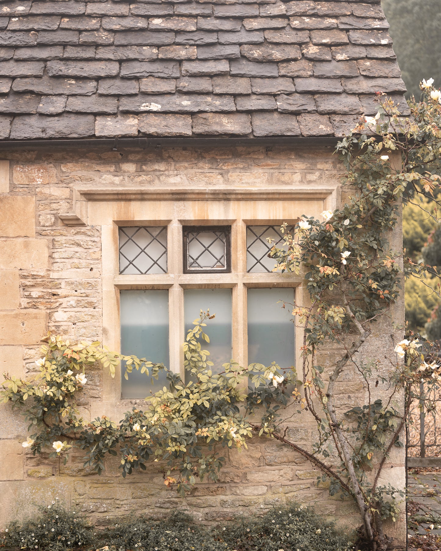 Cotswold Collection - Cottage View