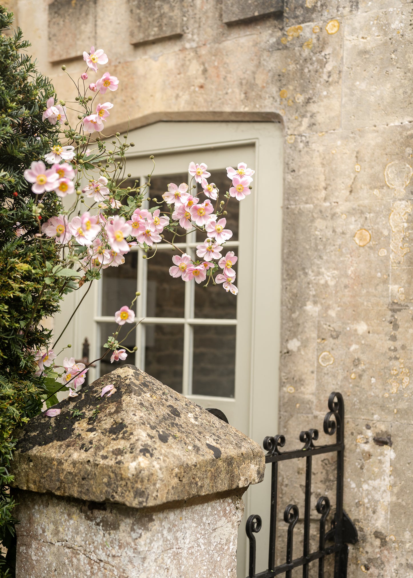 Cotswold Collection - Spring in the Fall