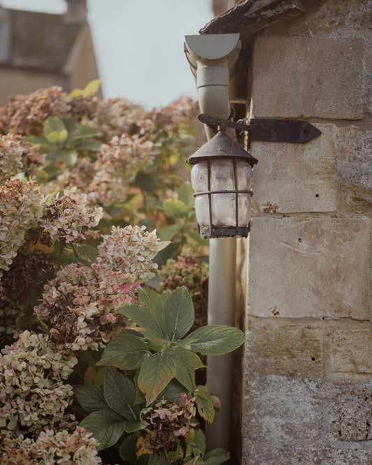 Cotswold Collection - A Lantern in Waiting