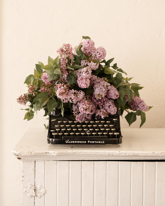 Lilac Typewriter