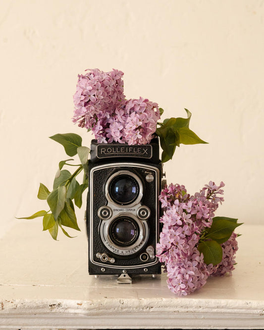 Lilacs on Camera