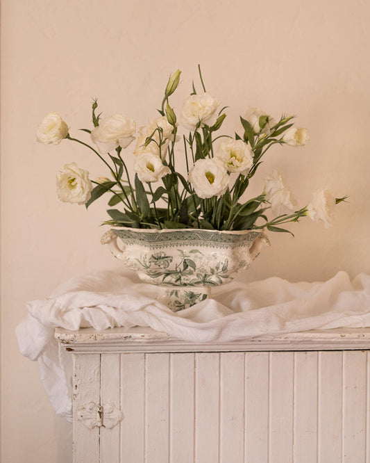 Lisianthus