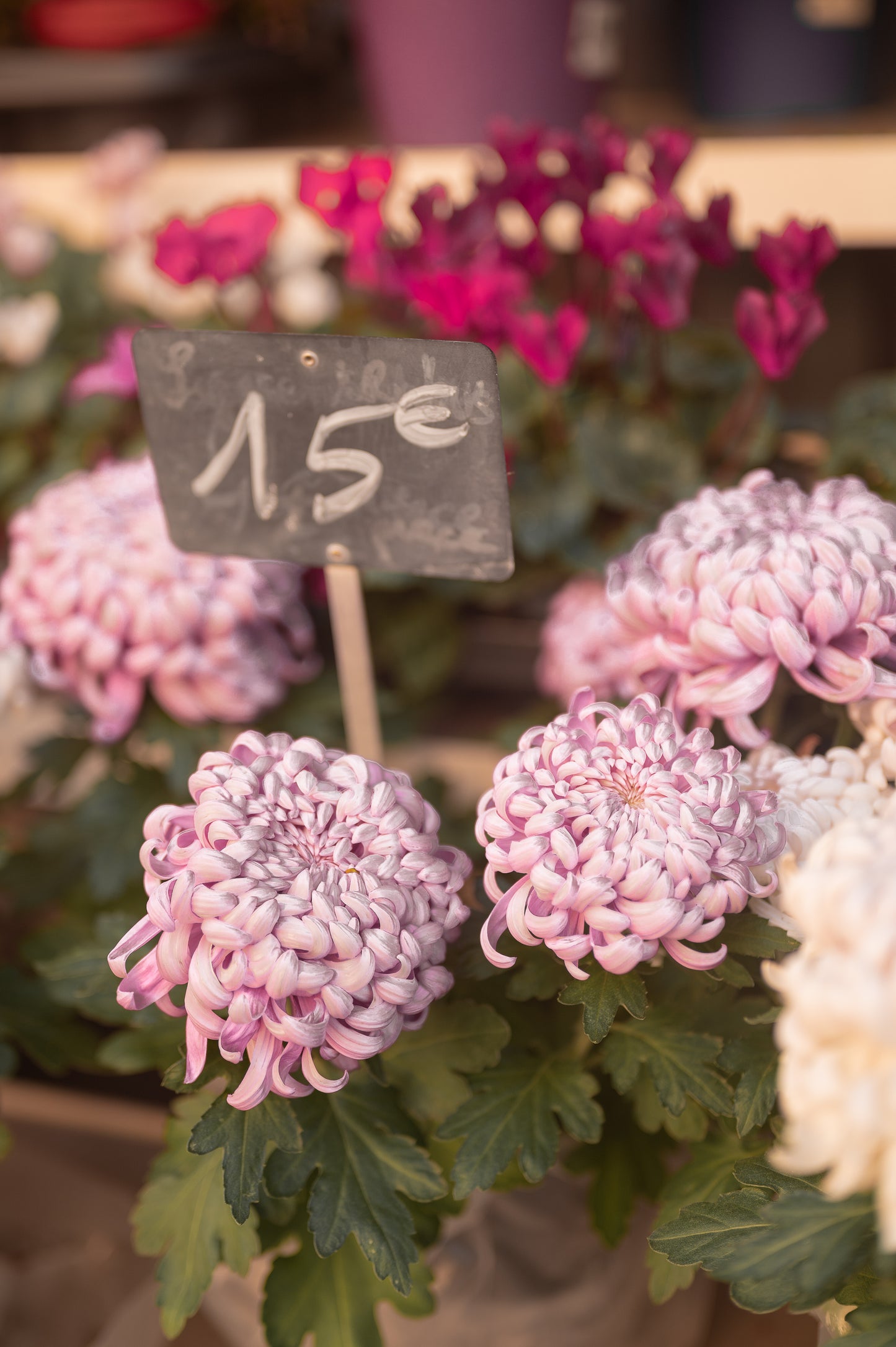 Paris Collection - French Flower Stand