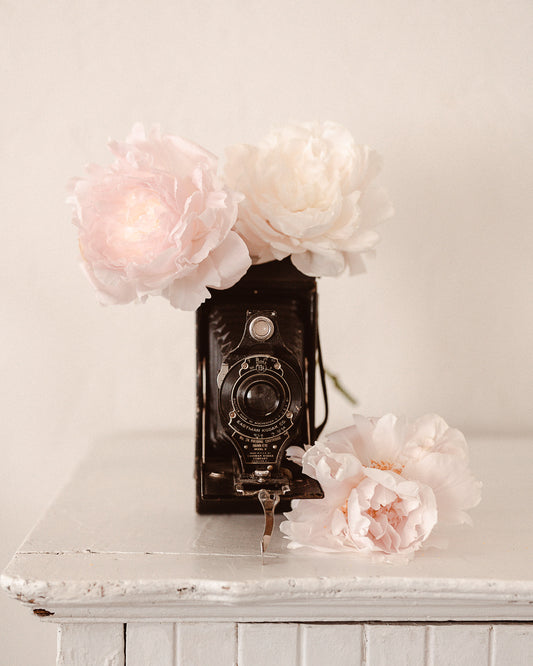 Vintage Camera
