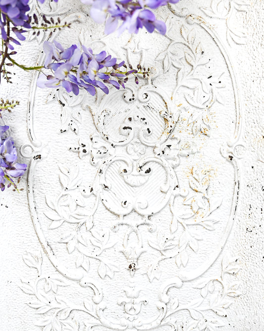 Wisteria and Scrolls